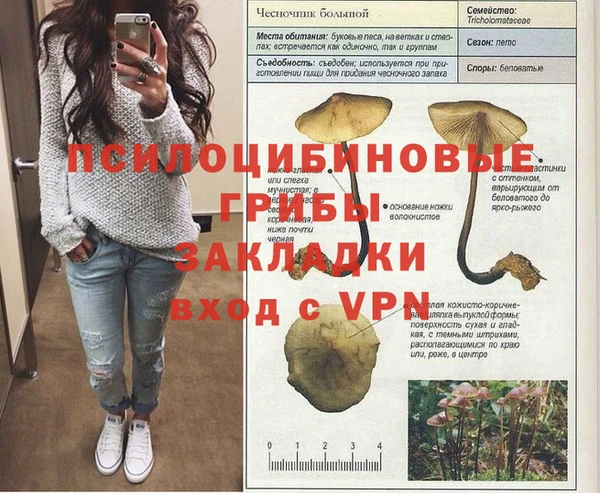 ALPHA PVP Беломорск
