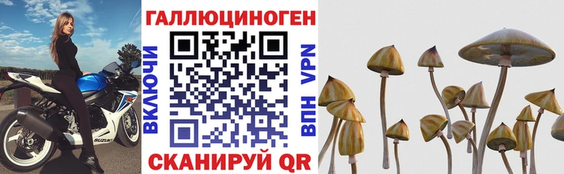 Псилоцибиновые грибы прущие грибы  Уфа 